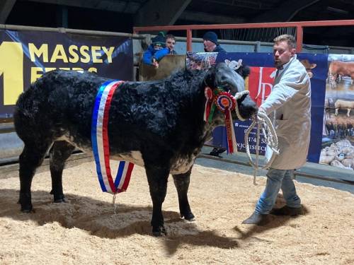 Supreme Champion St Asaph Christmas Show 2024