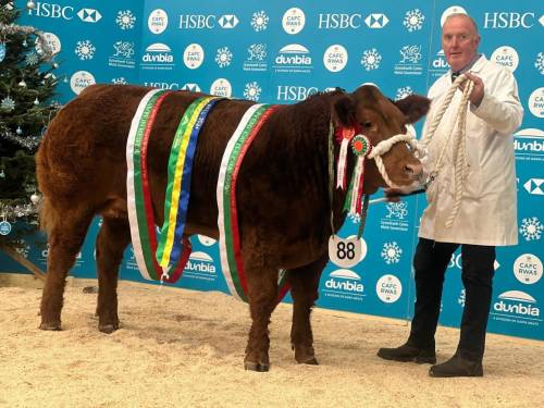 Supreme Champion Royal Welsh Winter Fair 2024