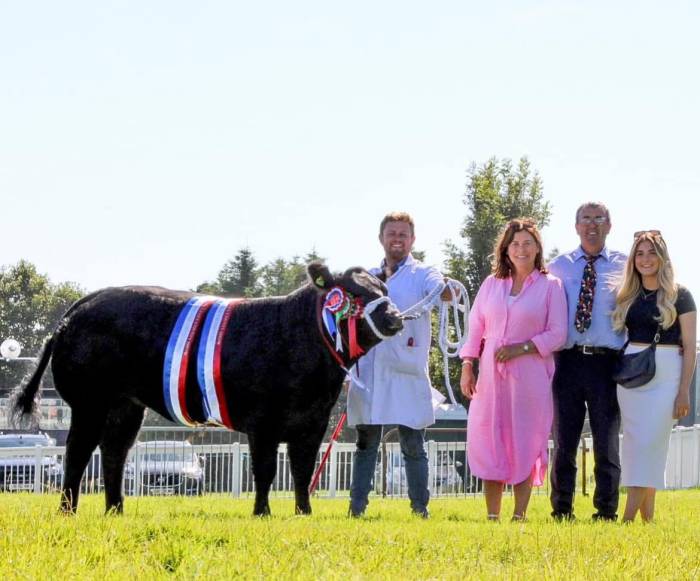 Supreme Champion Anglesey Summer Show