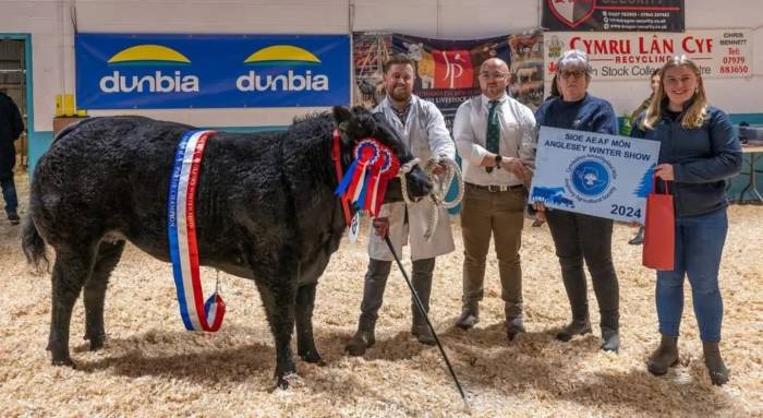 Supreme Champion Anglesey Winter Fair